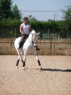 Classical riding Spain