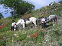 A Journalist's review of the Alpujara mountain ride | 4