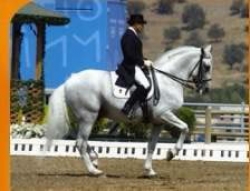 Rafael Soto Clinic