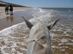 Beach Ride Spain