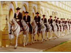 Spanish Riding School holiday