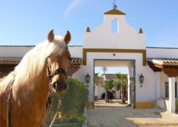 Horse Riding Holidays in Spain | 13