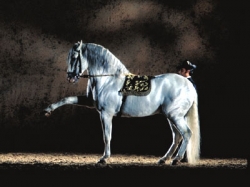 Horse Riding Articles