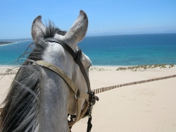 Riding Holidays Spain