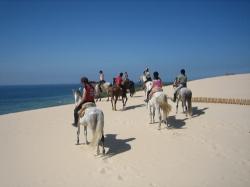 Beach Ride Experienced Riders