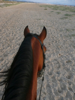 Horse Riding Holidays