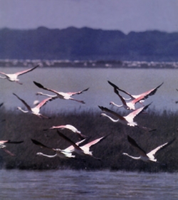 Ride Donana National Park