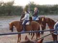International Equestrian Tourism Conference in Jerez, Spain | 4