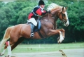 Cheshire Ride | 6