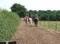 Cheshire Ride | 6