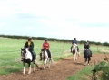 Cheshire Ride | 6