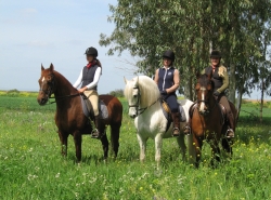 Epona riding holiday