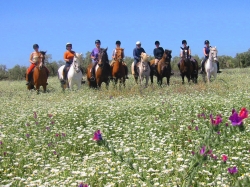 Equestrian Excellence Jerez  fm &pound;995 pp | 8