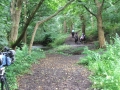 Cheshire Riding Breaks | 6