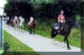 An Equestrian Interlude in Ireland | 6