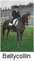 An Equestrian Interlude in Ireland | 6