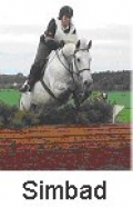 An Equestrian Interlude in Ireland | 6