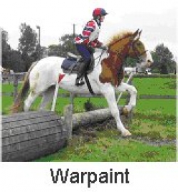 Riding Holidays in Ireland