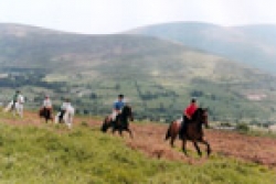 Riding Holiday