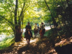 Weekend Trail Ride Ireland