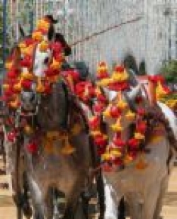 Seville Horse Feria Pair