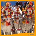 Jerez Feria | 6