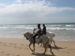 Ride beach & desert,  Almeria fm &pound;375 pp | 13