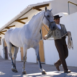 Horse Riding Holidays in Spain & Beyond | 14
