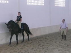 Ride Lusitano Horses | 6