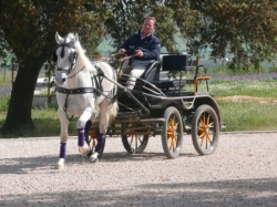 Horse Riding Holidays in Spain & Beyond | 14