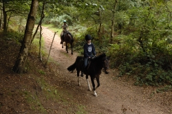 Horse Riding Holidays in UK | 6