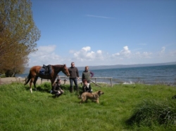 Horse Riding Weekends