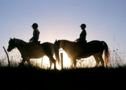 Equestrian Escapes Italy