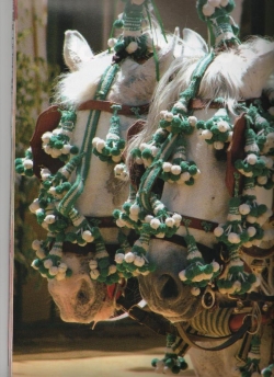Horse Riding Holidays in Spain & Beyond | 14