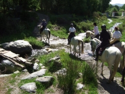 Luxury Ride Donana 