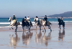 Horse Riding Holidays