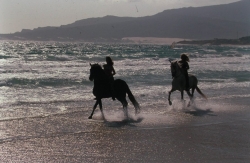 Tarifa ride beach 