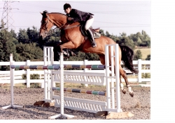 Tailor made multi discipline courses | 6