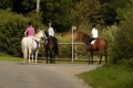 Horse Riding Weekends