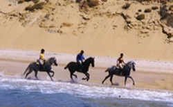 Beach Ride Families
