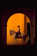 Horses, Sun and Wine | 6