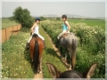 Horses, Sun and Wine | 6