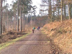 Horse Riding Weekends in UK 