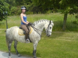 Horse Riding Holidays England