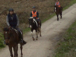 Horses & Chocolate - A Perfect Short Break | 9