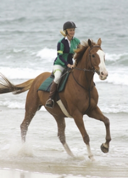 Horse Riding Holiday Beach