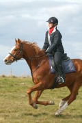 Western Riding in Bournemouth