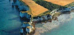Horse Riding Holiday Dorset
