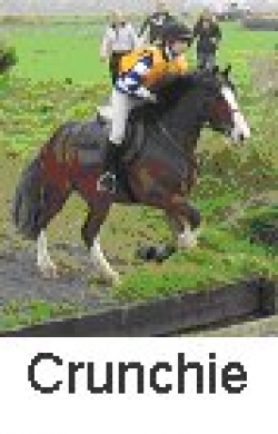 Weekend break riding horses