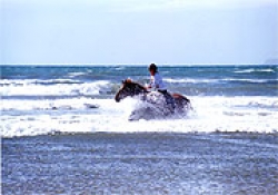 Riding Holidays Beach